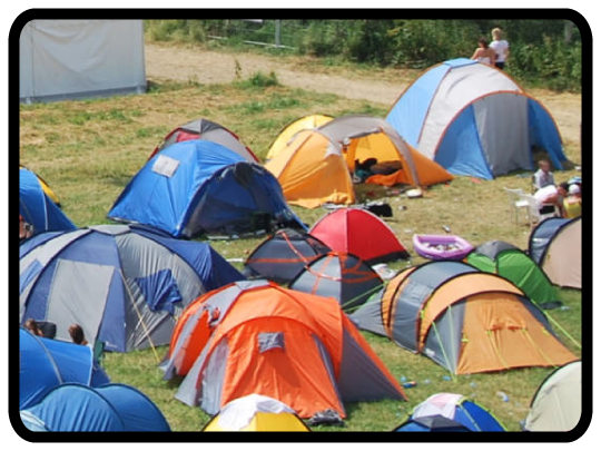 Festival Fun